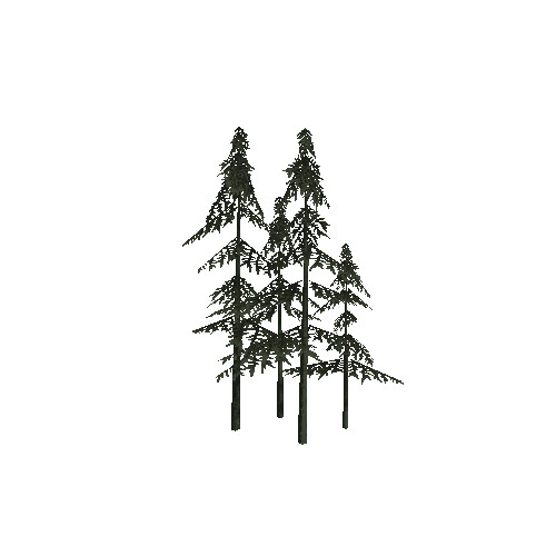 ConiferTreesGroup02LOD3 (TVE Backup)